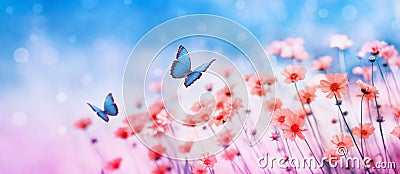 Beautiful flower field and flying butterflies on blue sky background. Colorful toning of amazing nature landscape with wild plants Stock Photo