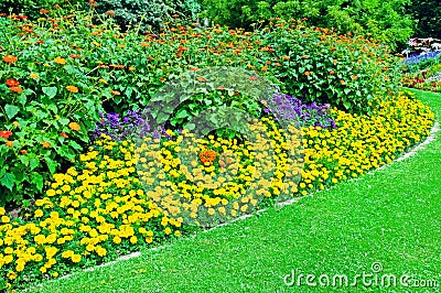 flowerbed in summer park Stock Photo