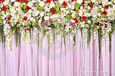 Beautiful flowers blossom on pink curtain Stock Photo