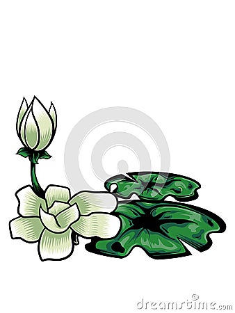 beautiful flowers coll Vector Illustration