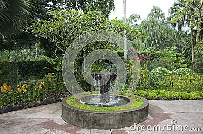 Orchid garden Singapore Botanic Garden Stock Photo