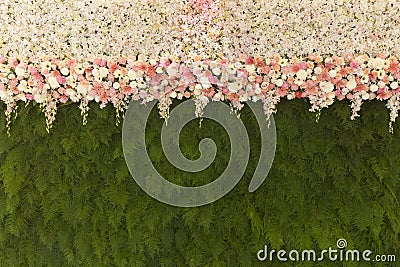 Beautiful flowers with green fern leaves wall background Beautif Stock Photo