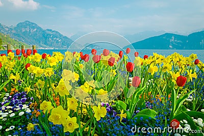 Beautiful flowers over lake Lucerne and mountains background in Switzerland Stock Photo