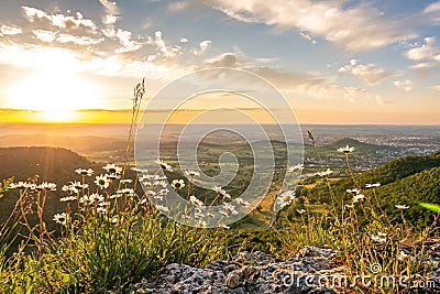 Beautiful flowers on scenic rock ledge at sunset in the Swabian Jura in Southern Germany Stock Photo