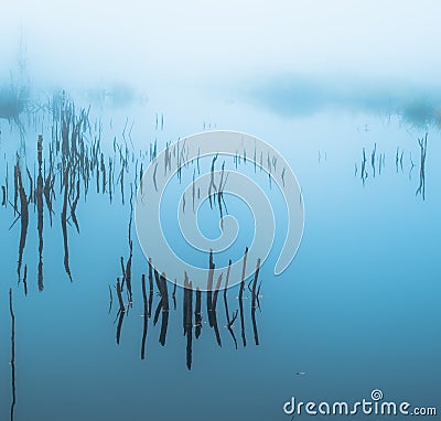 Foggy moor landscape Stock Photo