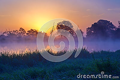 Beautiful foggy sunrise over the Narew river. Stock Photo