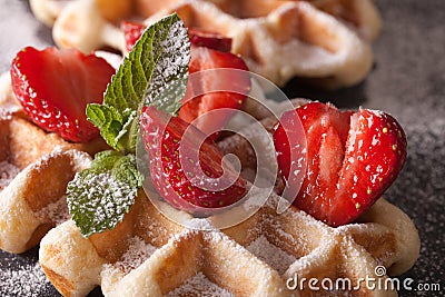 Beautiful food: Belgian waffles with fresh strawberries. Horizon Stock Photo