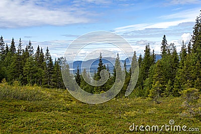 Beautiful forest landscape in the Kola Peninsula Stock Photo