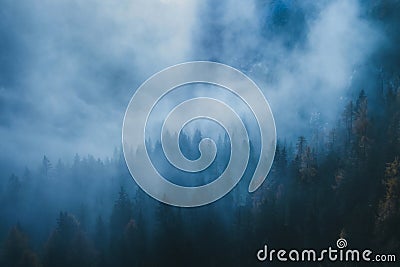 Fog, blue forest landscape, misty morning, scenic nature Stock Photo