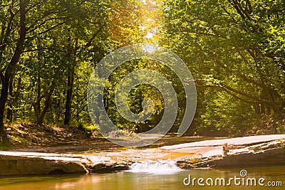 Beautiful forest at Prokopi village in Euboea in Greece with Kireas river running through. Stock Photo