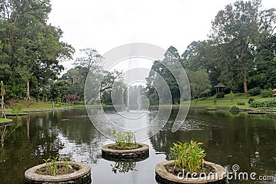 Beautiful fountain in lake : Cibodas botanical garden in Puncak Stock Photo