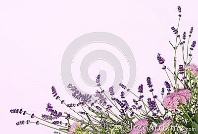 Beautiful frame of lavender flowers Stock Photo