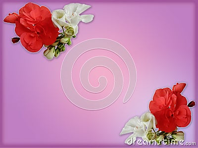 Beautiful frame with white and red flowers. Background with pink shades. Stock Photo