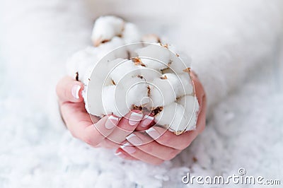Beautiful French manicure and cotton flower Stock Photo