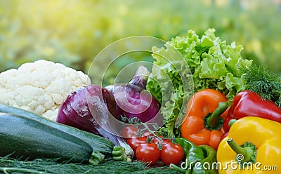 Beautiful fresh organic vegetables on the background of a blurred green vegetable garden. The concept of gardening, healthy eating Stock Photo