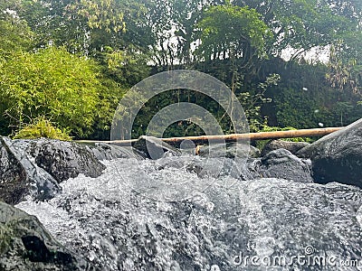 Beautiful fresh water river with rocks,bamboo and green trees Stock Photo