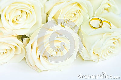 Beautiful fresh white roses with gold rings, wedding concept Stock Photo