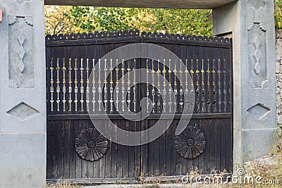 Beautiful front door, wicket or gate. The main entrance from the city street. Background Stock Photo