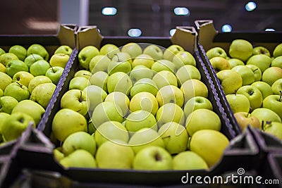 Beautiful fruit background with green and yellow apples in a cardboard box Stock Photo