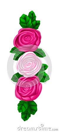 Beautiful Fuchsia and White Roses with Leaves Transparent for Edge and Border Art Stock Photo