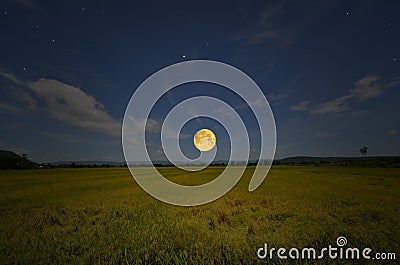Beautiful full moon over golden rice field in the evening Stock Photo