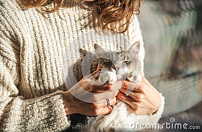 Beautiful funny fluffy sleepy gray cat in the arms of the owner in a warm sweater, close-up portrait of a pet Stock Photo