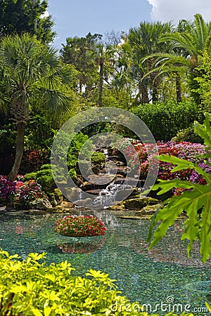 Beautiful Garden Stock Photo