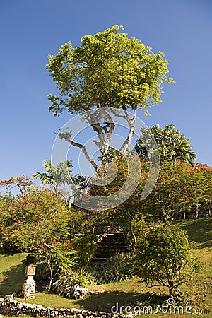 Beautiful garden, Bali Stock Photo