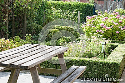 Beautiful garden with evergreen boxwood plants. Stock Photo