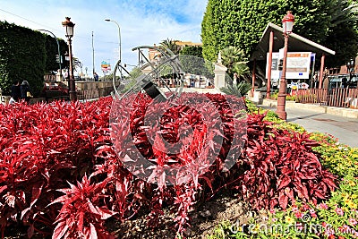 Beautiful garden in front of the city hall of Murcia Editorial Stock Photo