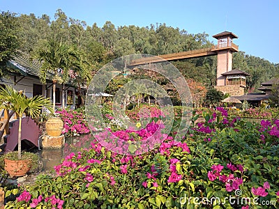 Beautiful garden with a lake in Vietnam Editorial Stock Photo