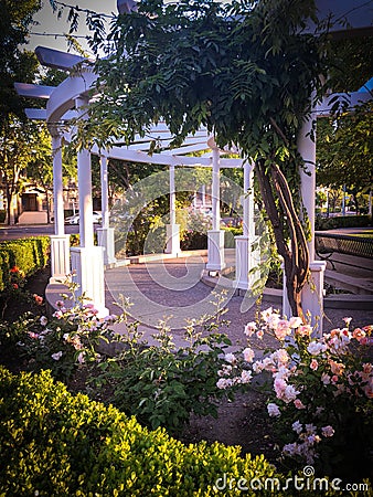 Evening at McHenry Garden in Modesto California Stock Photo