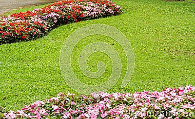 Beautiful garden in norther of Thailand Stock Photo