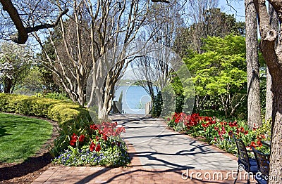 Beautiful Garden Pathway. Stock Photo