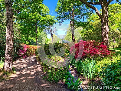 Beautiful garden of Richmond park, Isabella plantation in London Stock Photo
