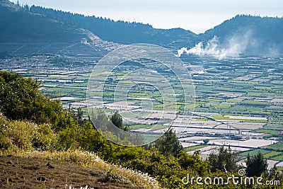 Beautiful garlic fields . View from Thoi Loi mountain at Ly Son Island, Quang Ngai Province Stock Photo