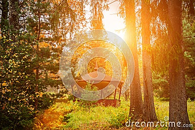 Beautiful gazebo in the alley with Golden leaves in early autumn on a Sunny day Stock Photo