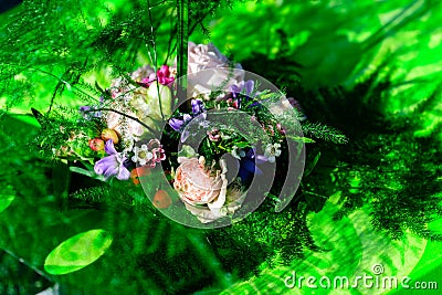 Beautiful gentle decor for summer wedding ceremony Stock Photo