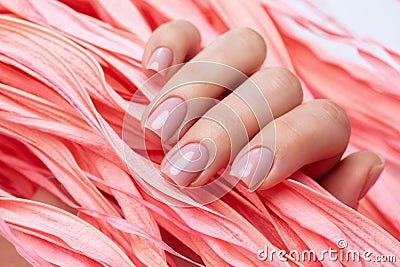 Beautiful gentle manicure. Close-up woman`s hand holds a pink leaf Stock Photo