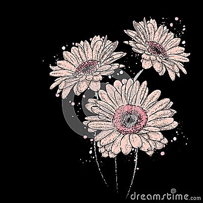 Beautiful gerbera. Flowers. Vector Illustration