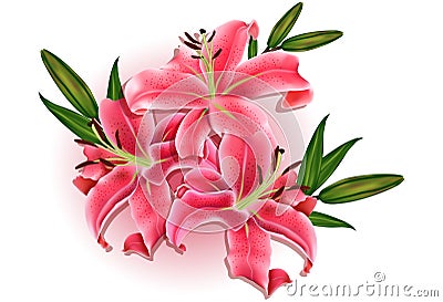 Beautiful gift card with pink lilies Vector Illustration