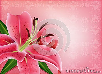 Beautiful gift card with pink lily Vector Illustration