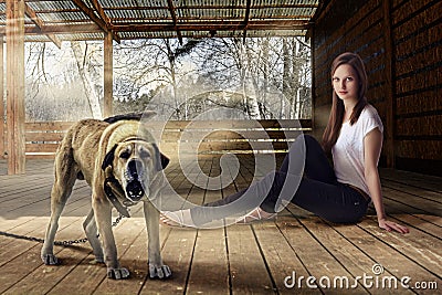 Beautiful girl and barking watchdog outdoors at wooden veranda Stock Photo
