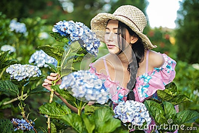 Beautiful girl with a field of hydrangea flowers Stock Photo