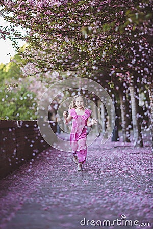 Beautiful girl in pink dress in cherry blossom park on a spring day, flower petals falling from the tree Stock Photo