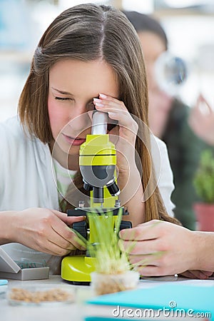 Beautiful girl student working at biology classroom Stock Photo