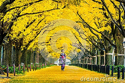 Beautiful girl wearing japanese traditional kimono at row of yellow ginkgo tree in autumn. Autumn park in Tokyo, Japan Stock Photo