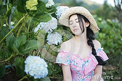 Beautiful girl with a field of hydrangea flowers Stock Photo