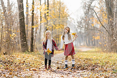 Beautiful girls sit in the yellow leaves of the autumn Park. Two sisters holding hands and walking in the woods. The concept of a Stock Photo