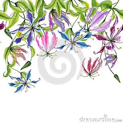 Beautiful gloriosa flowers on climbing twigs on white background. Seamless pattern. Floral border. Watercolor painting. Cartoon Illustration